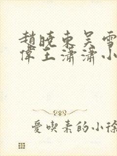 赵晓东吴雪晴郑伟王潇潇小说
