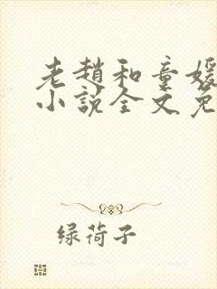 老赵和童媛媛的小说全文免费阅读封面