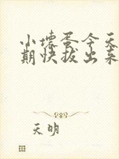 小坏蛋今天危险期快拔出来