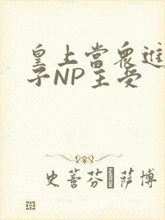 皇上当众进入太子NP主受