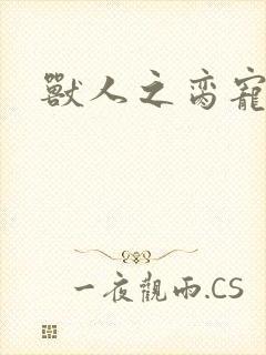 兽人之脔宠封面