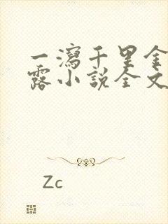 一泻千里金银花露小说全文免费阅读