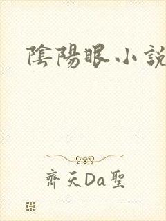 阴阳眼小说