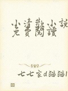 小清欢小说全文免费阅读