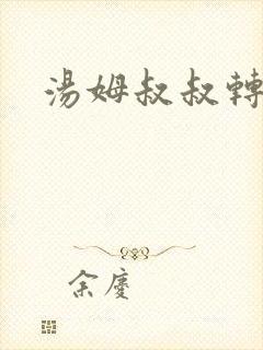 汤姆叔叔转接口