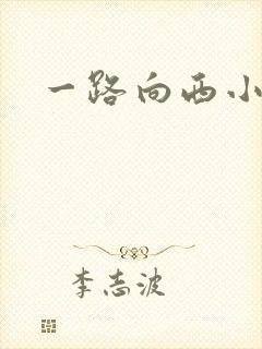 一路向西小说