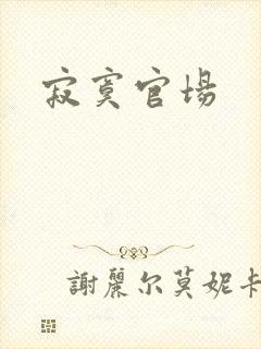 寂寞官场封面