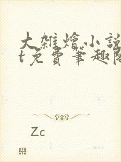 大杂烩小说txt免费笔趣阁