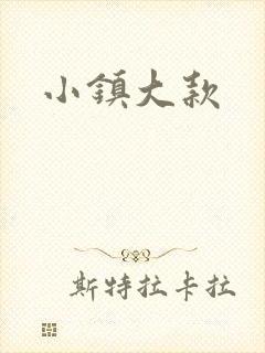 小镇大款