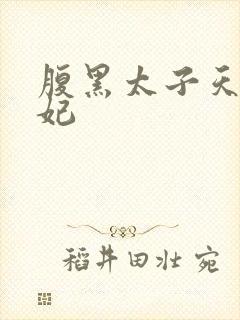 腹黑太子天降萌妃