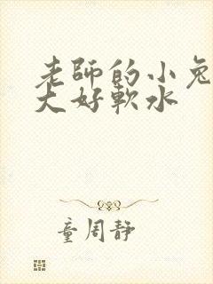 老师的小兔子好大好软水封面
