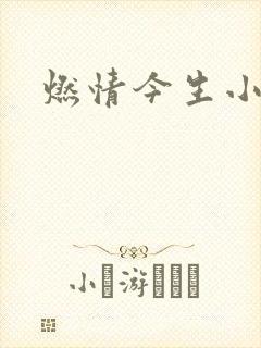 燃情今生小说