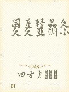 国产精品久久久久久亚洲小说