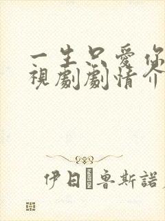 一生只爱你 电视剧剧情介绍封面