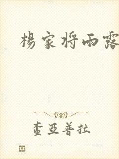 杨家将雨露均沾封面