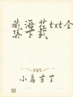 藏海花txt全集下载