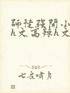 师徒强开小嫩苞h文高辣h文封面