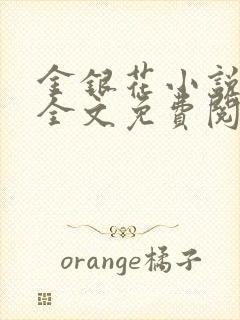 金银花小说在线全文免费阅读封面