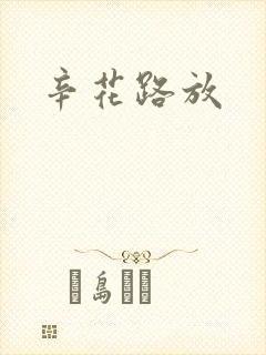 辛花路放封面