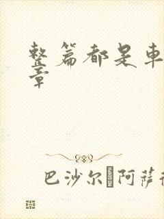 整篇都是车的文章