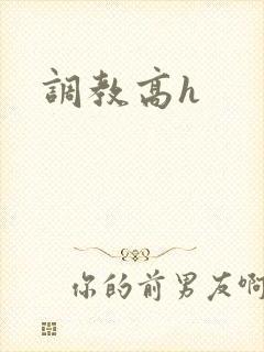 调教高h