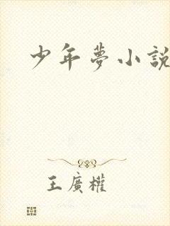 少年梦小说