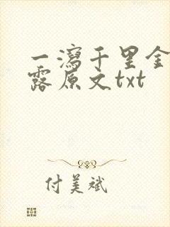 一泻千里金银花露原文txt