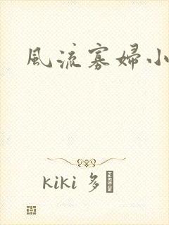 风流寡妇小说