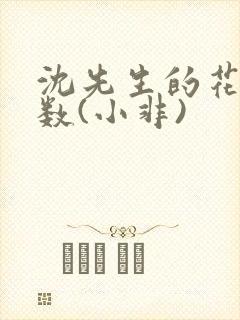 沈先生的花式调数(小非)封面