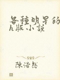 各种明星的综艺h版小说封面