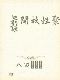 最开放性聚会小说