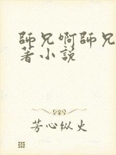 师兄啊师兄的原著小说