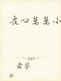 夜心万万小说