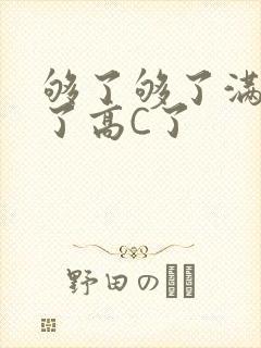 够了够了满到C了高C了封面