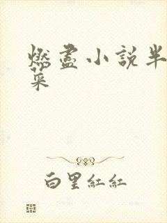 燃尽小说半截白菜