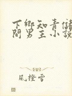 下乡知青储物空间男主小说