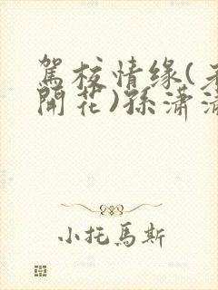 驾校情缘(老树开花)孙潇潇第一次趣笔阁