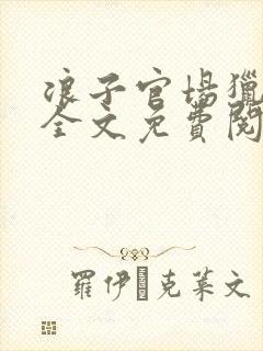 浪子官场猎艳记全文免费阅读