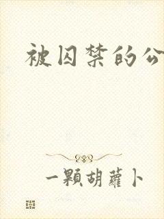 被囚禁的公主