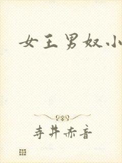 女王男奴小说
