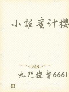 小说蜜汁樱桃