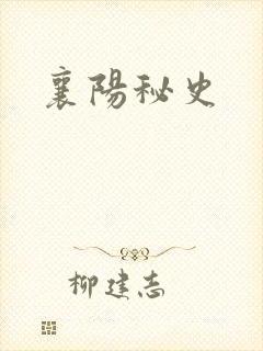 襄阳秘史
