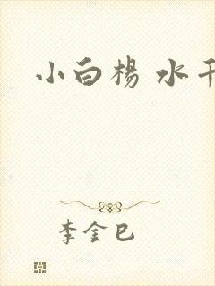 小白杨 水千丞