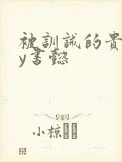 被训诫的贵妃by书懿封面
