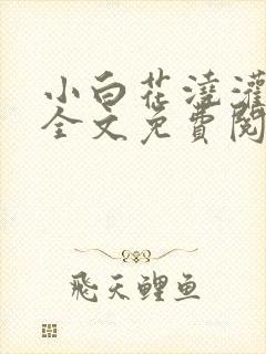 小白花浇灌日常全文免费阅读