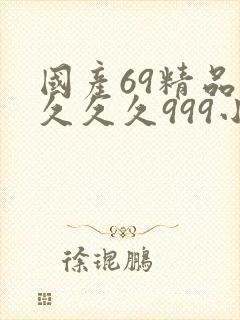 国产69精品久久久久999小说封面