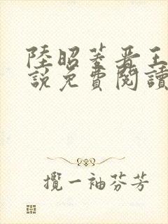 陆昭菱晋王的小说免费阅读