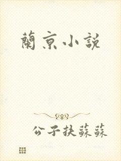 兰京小说