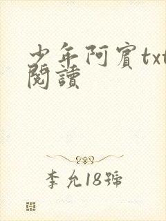 少年阿宾txt阅读