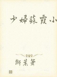 少妇苏霞小说